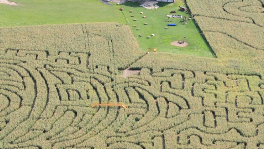 Aerial view of Singleton Maize Maze