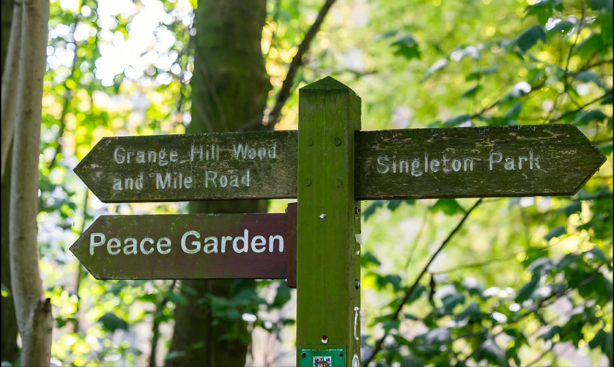Woodland signpost pointing towards Singleton Park and local paths